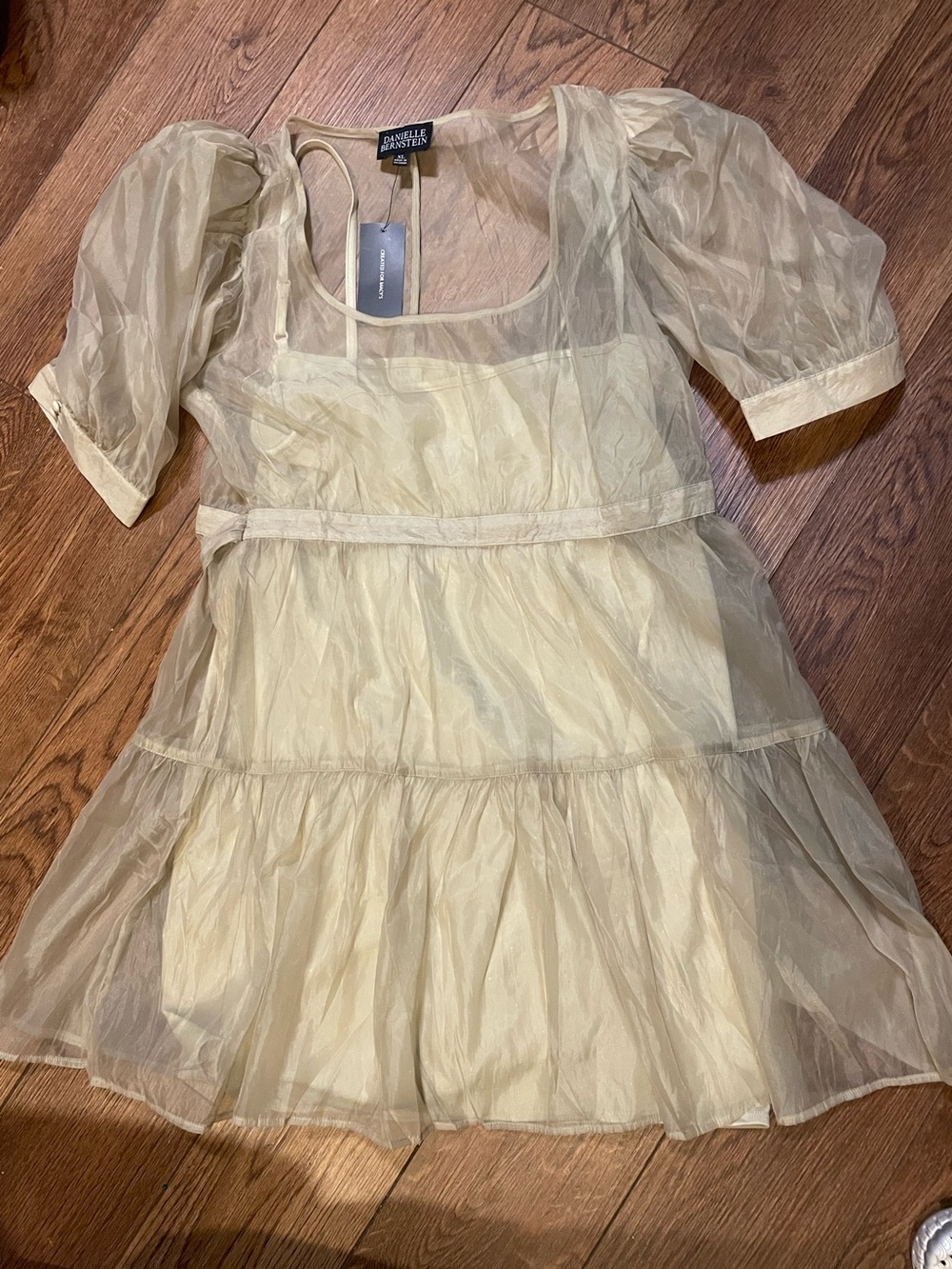 Danielle Bernstein Light Green Solid Organza Puff-Sleeve Whimsy Fairy Mini Dress